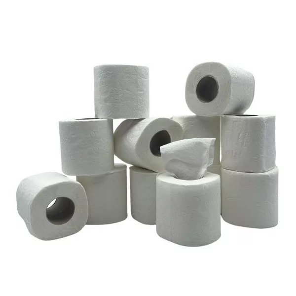 PAPIER WC HYGIENIQUE BLANC 2 PLIS (Lot de 12)