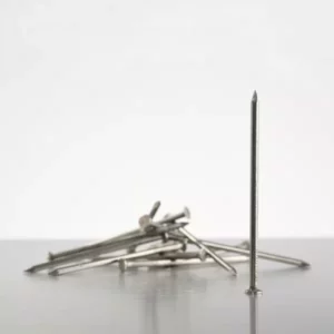 COMETT - POINTE CLAIRE TETE PLATE BOIS - 5KG